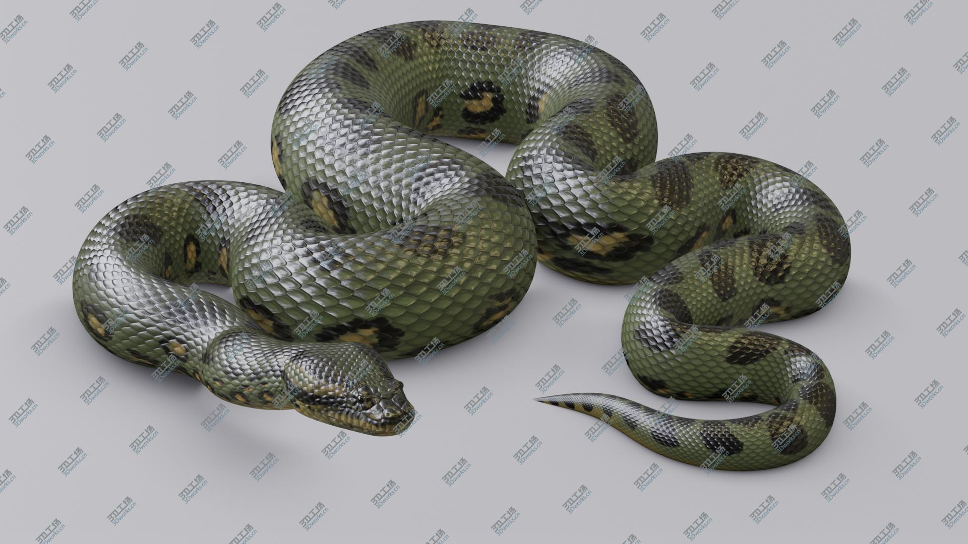 images/goods_img/20210319/3D model Animated Green Anaconda/2.jpg